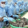 Vietnamese shrimp exporters enjoy zero taxes to US