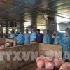 Germany shares experience in African swine fever prevention with Hanoi