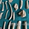 Many artefacts unearthed in Lang Son province