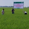 Vietnam to promote exports of organic fertilisers