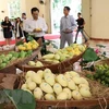 EU enhances inspections on Vietnam’s agricultural products from Sept 1