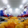Vietnam’s export turnover up 7.3 percent in eight months