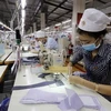 Nearly 100,000 enterprises established in eight months