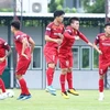 Vietnam unveil names for World Cup match against Thailand 