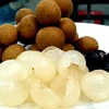 First batch of fresh Vietnamese longan arrives in Australia