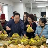 Vietnam’s fresh longan makes debut in Australia