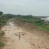Mekong Delta needs urgent measures to prevent drought, saline intrusion