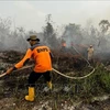 Indonesia: Over 39,000 people affected by haze smoke 