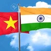 Defence cooperation – important pillar of Vietnam-India ties 
