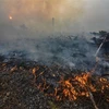 Indonesia: Forest fires break out on Malaysian-controlled land