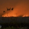 Haze from forest fires in Indonesia speads to neighbouring countries