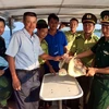 Quang Ninh reintroduces green sea turtle into the wild