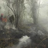 Malaysian government asks firms to control fires abroad