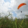 Paragliding festival returns Yen Bai province
