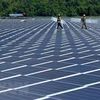 Vietnam, Singapore companies to jointly develop rooftop solar power 