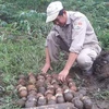 Quang Tri successfully handles nearly 300 explosive devices