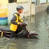 River tides reach flood warning level 3 in HCM City, Mekong Delta