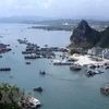 Quang Ninh: Van Don island district develops marine tourism
