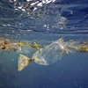 Thailand generates less marine debris
