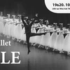 Ballet Giselle to be staged at HCM City Opera House