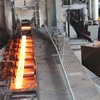 Leading steelmaker Hoa Phat posts 32-percent rise in steel export volume