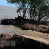 Kien Giang needs over 68.8 million USD to tackle coastal erosion