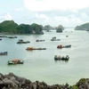 Hai Phong draws visitors to Cat Ba island