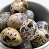 Singapore suspends quail egg imports from Malaysia