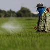 Thailand bans three toxic farm chemicals from December 