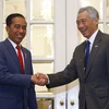 Singapore, Indonesia to discuss airspace management, military training
