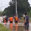 Vietnam, Japan share measures to cope with flash flood, landslides