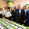 PM urges Hai Phong to take lead in agriculture modernisation