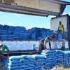 Philippines to slow down rice imports next year