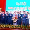 Vietnam wrestling federation president named