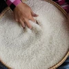 China to import more rice from Cambodia 