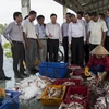 Vietnam reaps fruits in fighting IUU fishing