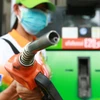 Thailand to make E20 fuel available at pumps