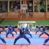 Egypt hosts Viet Vo Dao – Vovinam Championship