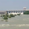 Dong Nai River water to reach top alert level