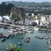 Quang Ninh’s Mong Cai city supports businesses