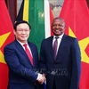 Deputy PM Vuong Dinh Hue pays working visit to South Africa