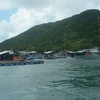 Island commune to expand floating-cage breeding of marine fish