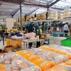 First Vietnamese factory inaugurated in Cuba