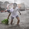 Typhoon Kammuri kills at least two in Philippines 