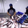 Tra fish exports to Russia slump