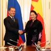 Vietnamese NA leader, Russian PM discuss multifaceted relations