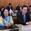 Vietnamese Ambassador delivers speech at int’l Red Cross conference