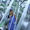 ADB affirms economic growth potential of Vietnam