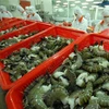 Vietnam to promote shrimp exports to EU next year