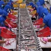 Vietnam’s tra fish exports to reach 2.3 billion USD in 2019